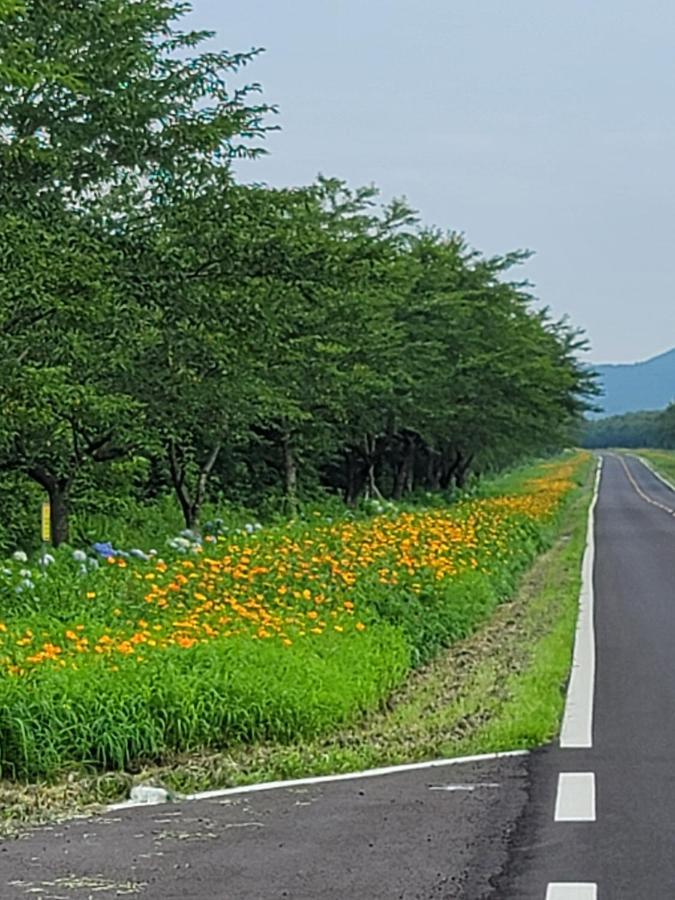 유채꽃길에 머문 시간 서귀포 외부 사진