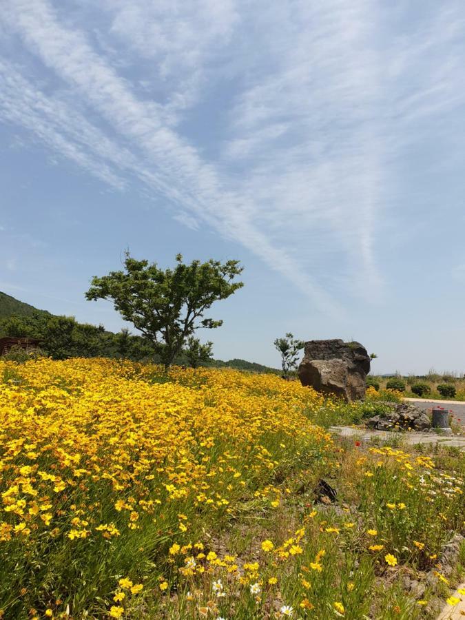 유채꽃길에 머문 시간 서귀포 외부 사진